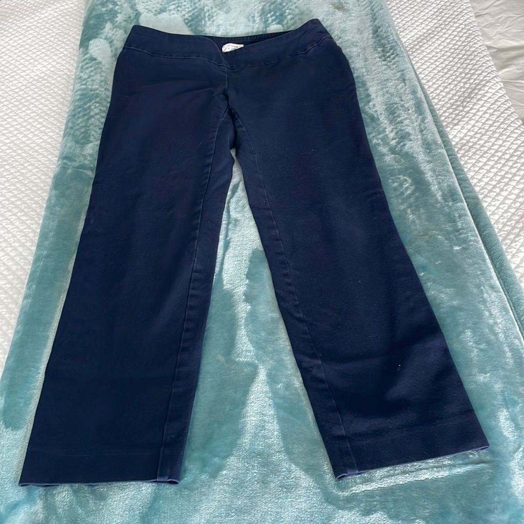 Crown  Ivy Navy Pants